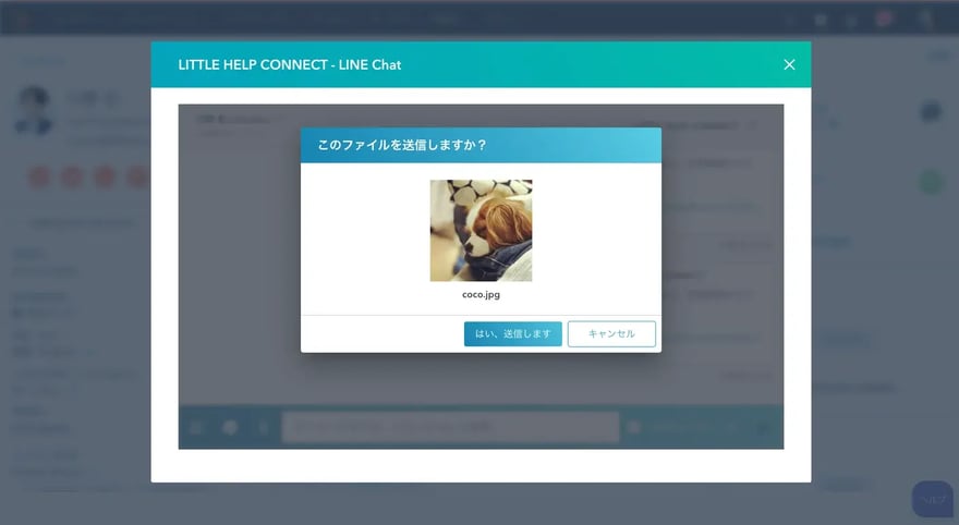 チャット